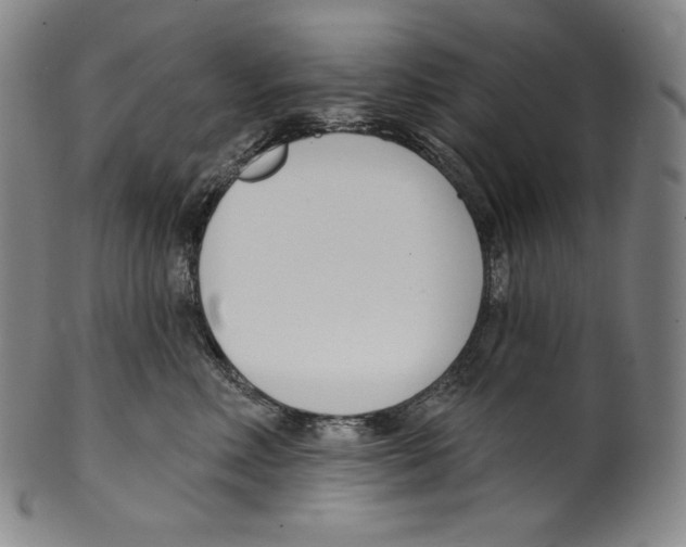 X0000099440618200806061045