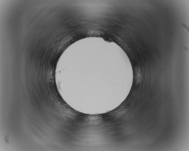 X0000099440619200806061045