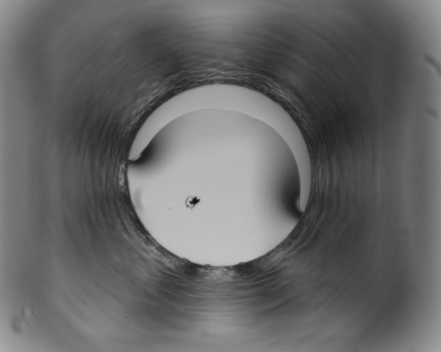 X0000099440621200806061045