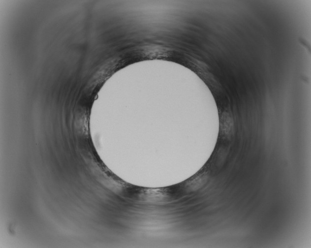 X0000099440622200806061045