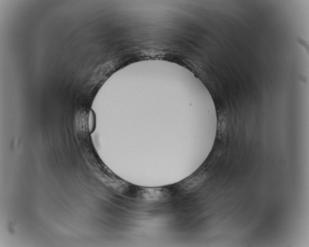 X0000099440623200806061045