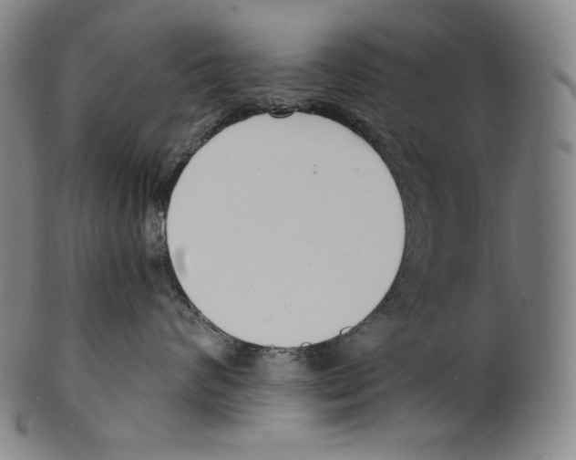 X0000099440624200806061045