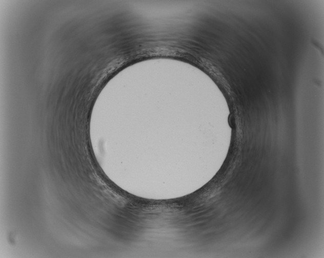 X0000099440625200806061044