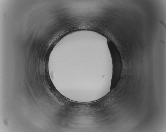 X0000099440626200806061044