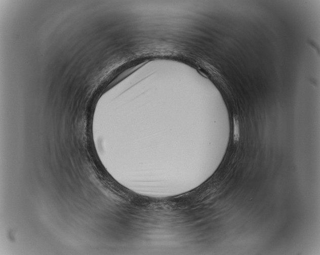 X0000099440627200806061044