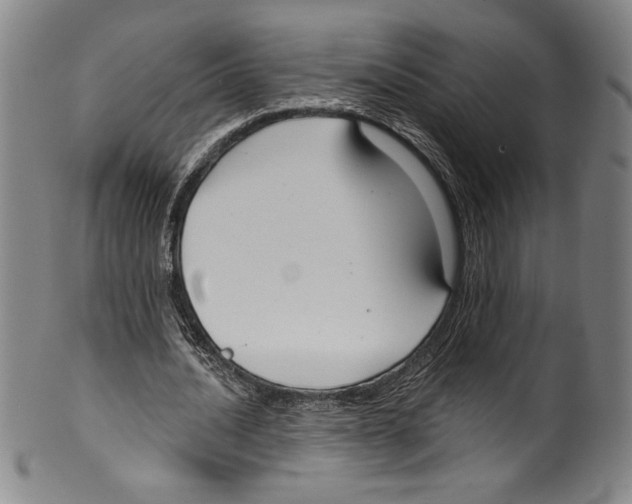 X0000099440628200806061044