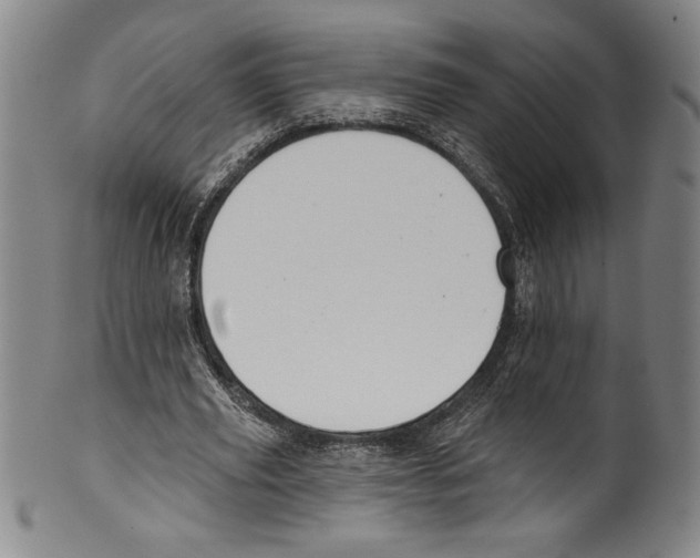 X0000099440629200806061044