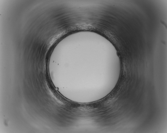 X0000099440630200806061044