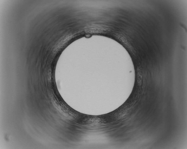 X0000099440631200806061044