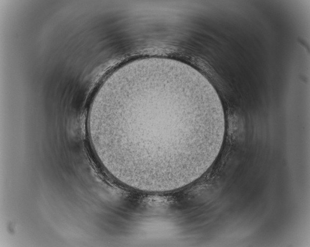 X0000099440632200806061044