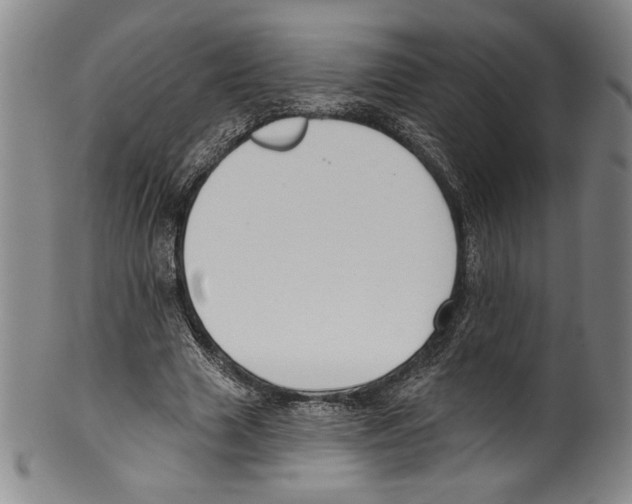 X0000099440633200806061044