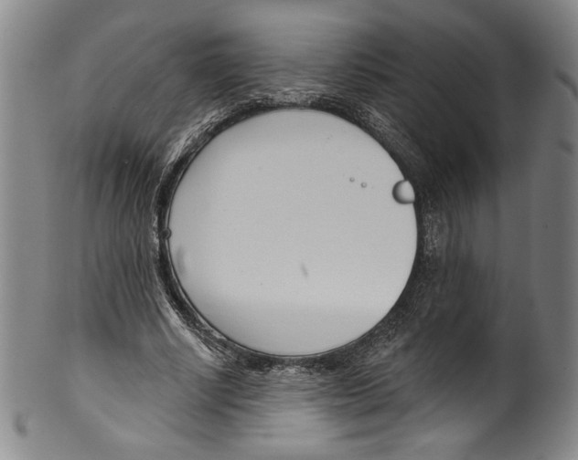 X0000099440634200806061044