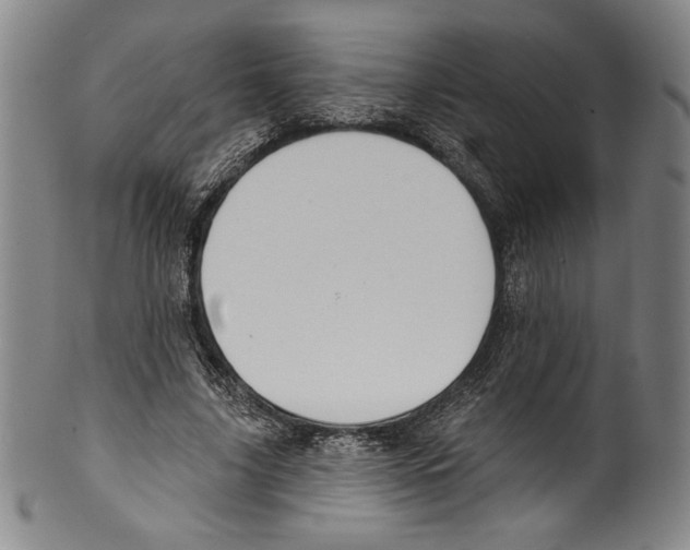 X0000099440635200806061044