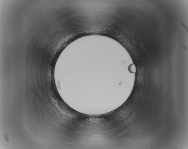 X0000099440636200806061045