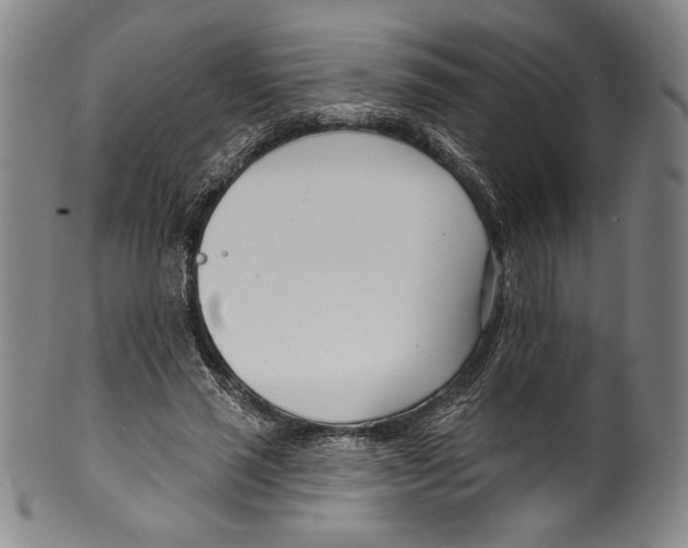 X0000099440637200806061045