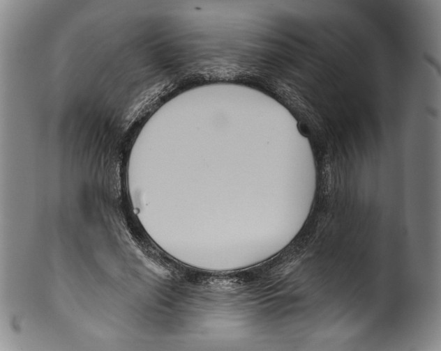 X0000099440638200806061045