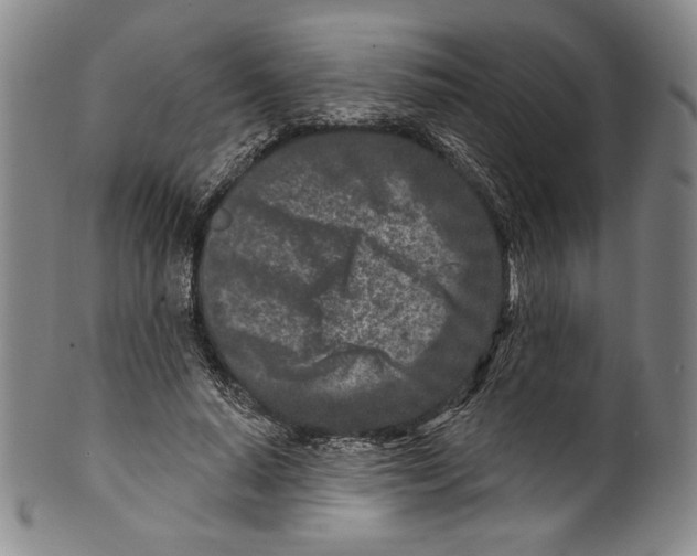 X0000099440640200806061045