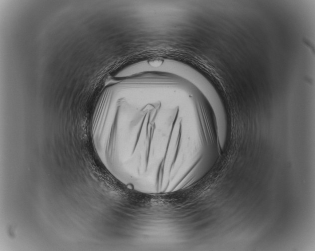 X0000099440641200806061045