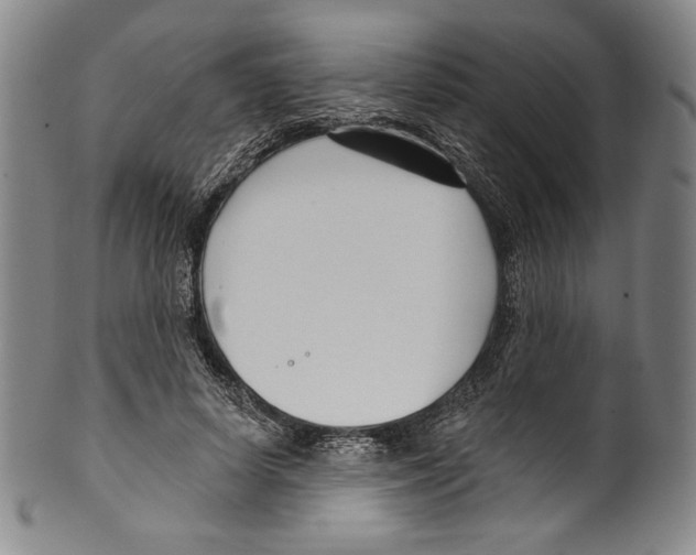 X0000099440642200806061045