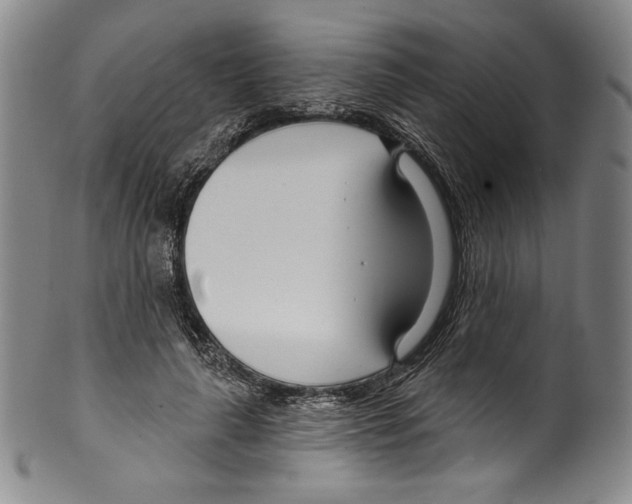 X0000099440643200806061045