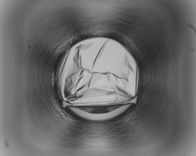 X0000099440644200806061045