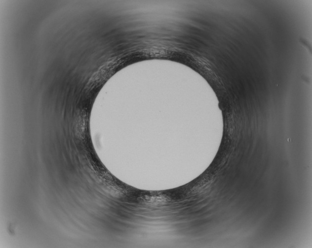 X0000099440645200806061045