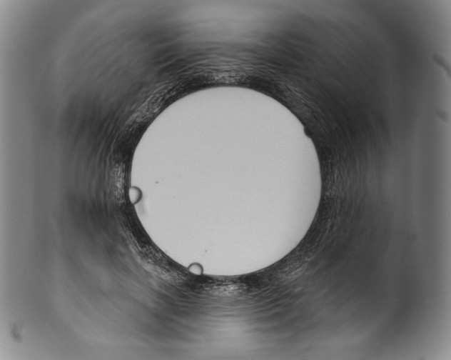 X0000099440646200806061045