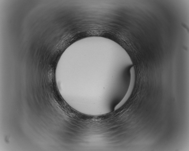 X0000099440647200806061045