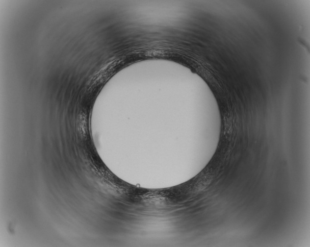 X0000099440648200806061045