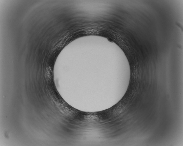 X0000099440649200806061045