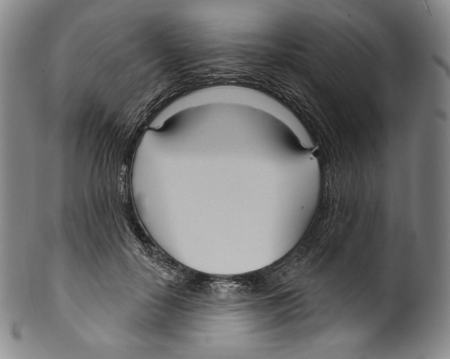 X0000099440650200806061045