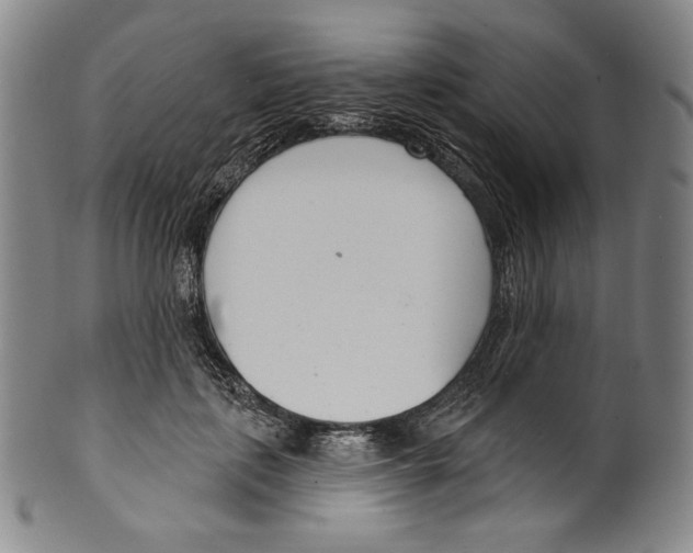 X0000099440651200806061045