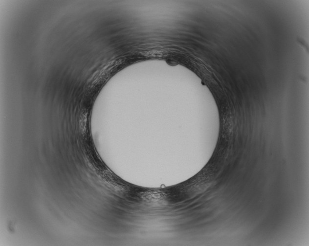 X0000099440652200806061045