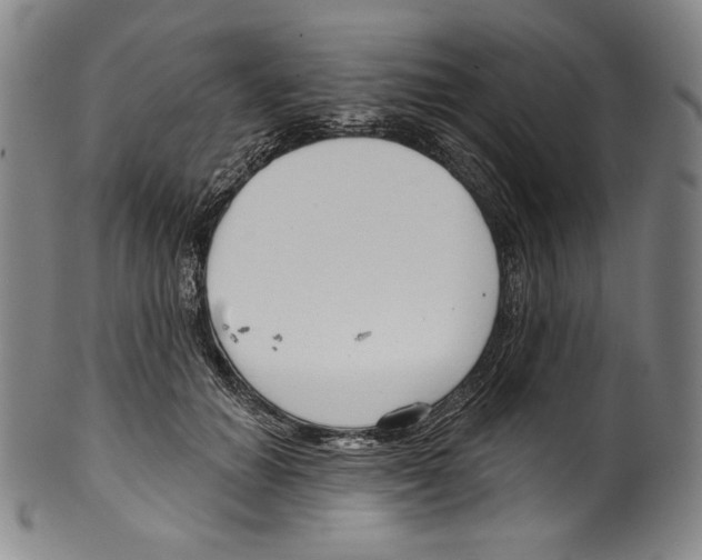 X0000099440654200806061045