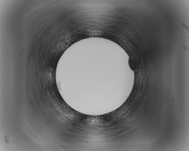 X0000099440655200806061045