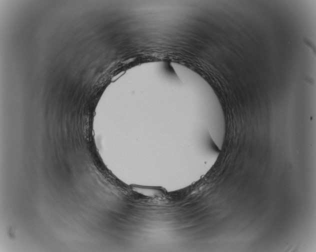 X0000099440656200806061045