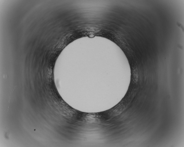 X0000099440657200806061045