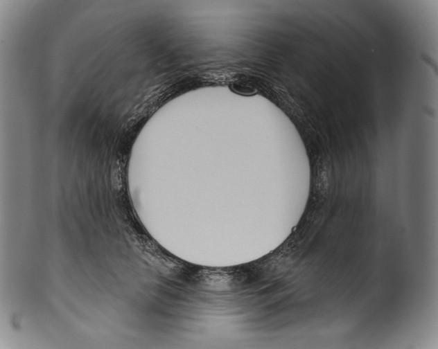 X0000099440658200806061045