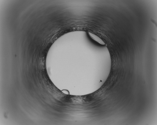 X0000099440661200806061045