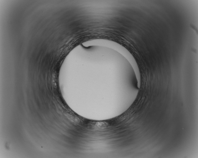 X0000099440663200806061045