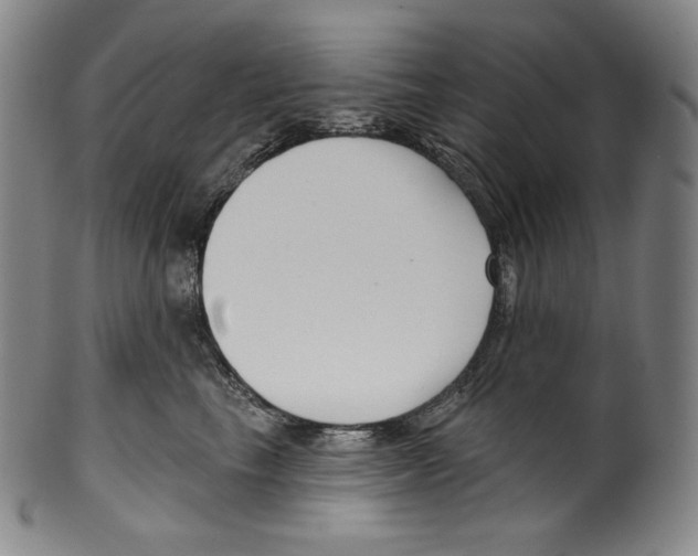 X0000099440665200806061045