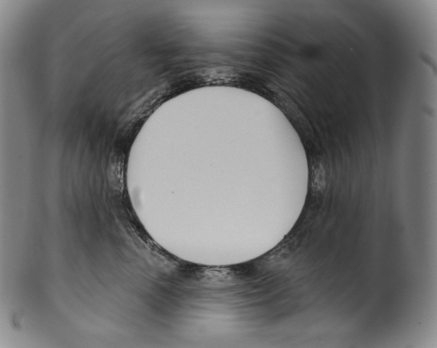 X0000099440666200806061045