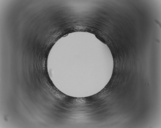 X0000099440668200806061045