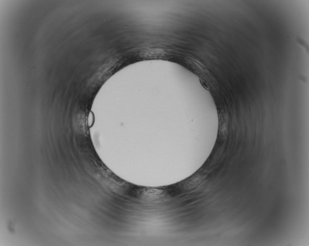 X0000099440669200806061045