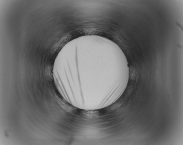 X0000099440670200806061045