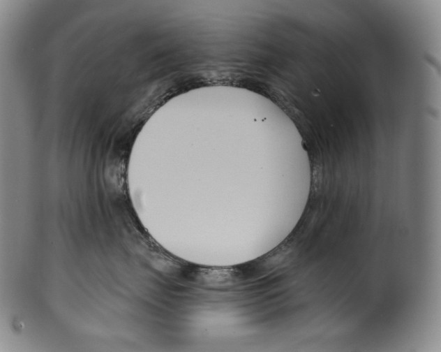 X0000099440671200806061045