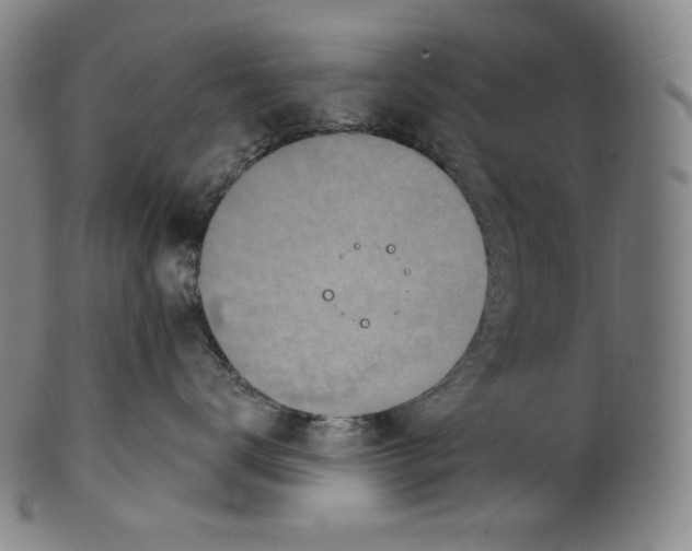 X0000099440672200806061045