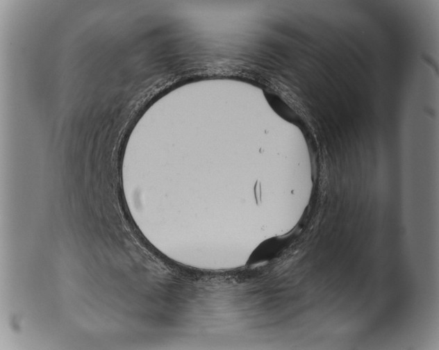 X0000099440673200806061044