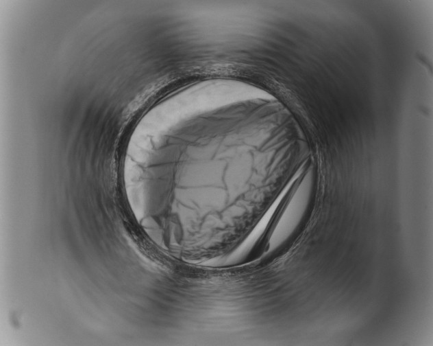 X0000099440674200806061044