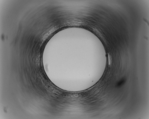 X0000099440675200806061044